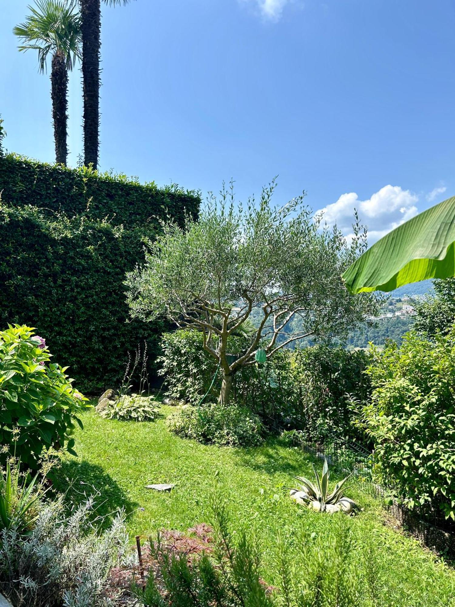 I Vallata Paradise I Free Parking - Garden&View - 10Minutes From Lugano Eksteriør bilde