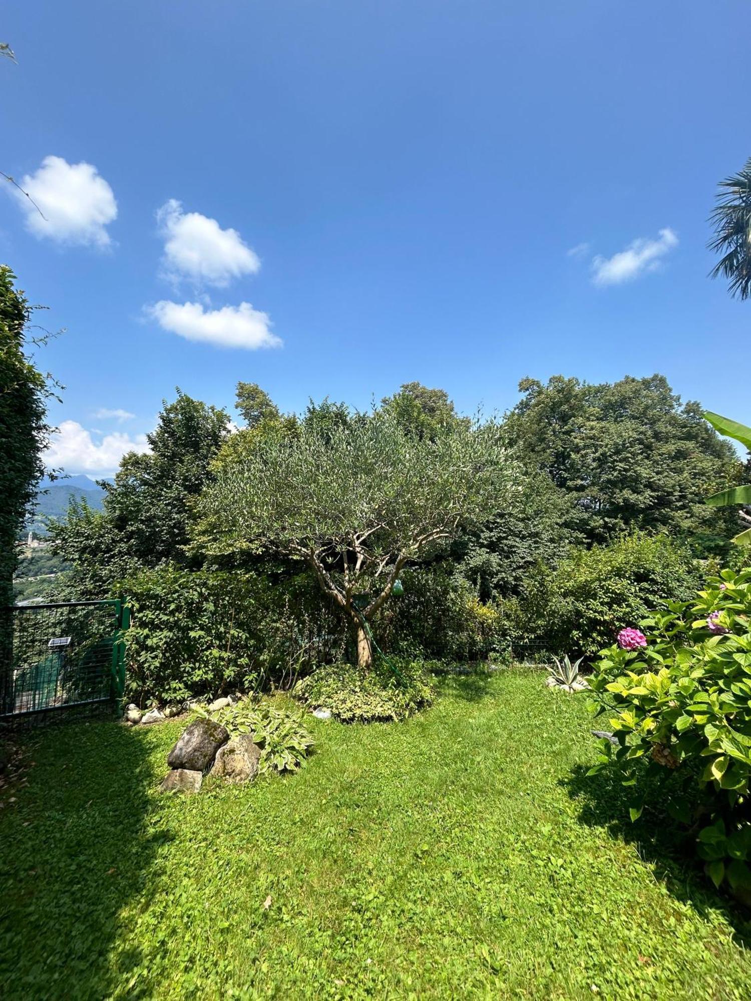 I Vallata Paradise I Free Parking - Garden&View - 10Minutes From Lugano Eksteriør bilde